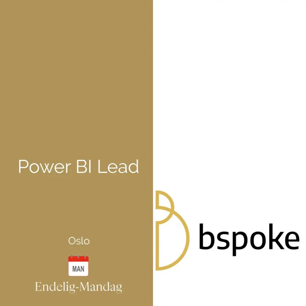 Power BI Lead Endelig-Mandag bspoke
